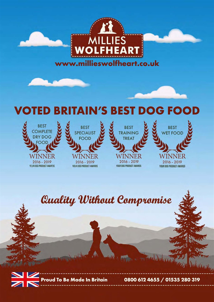 Dogs Monthly Preview Pages