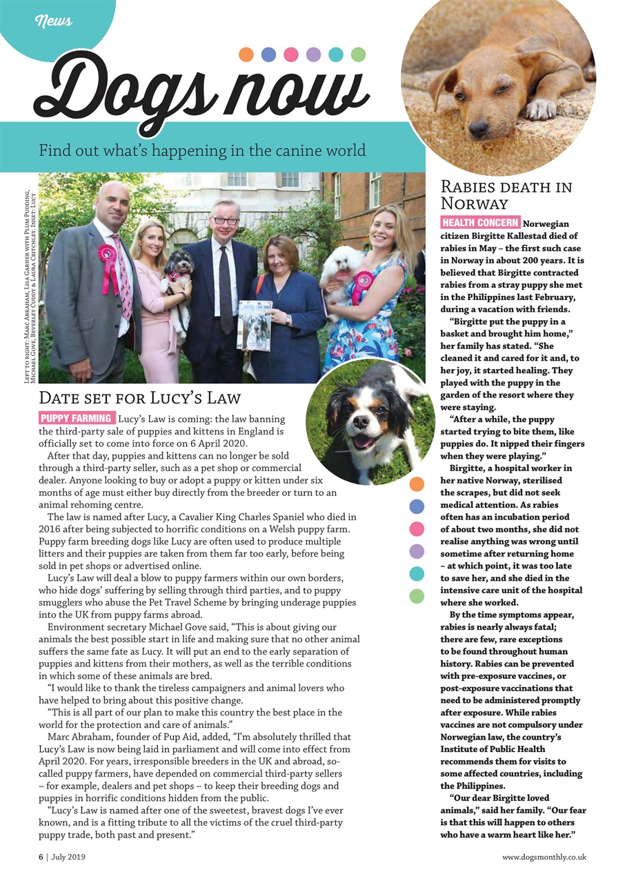 Dogs Monthly Preview Pages