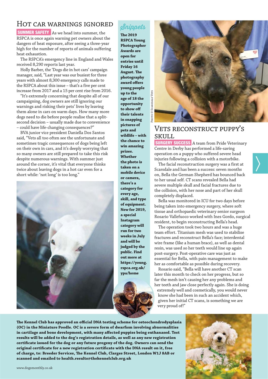 Dogs Monthly Preview Pages