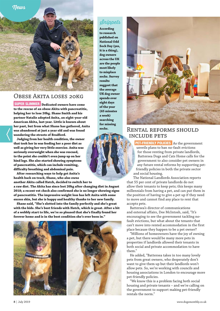 Dogs Monthly Preview Pages