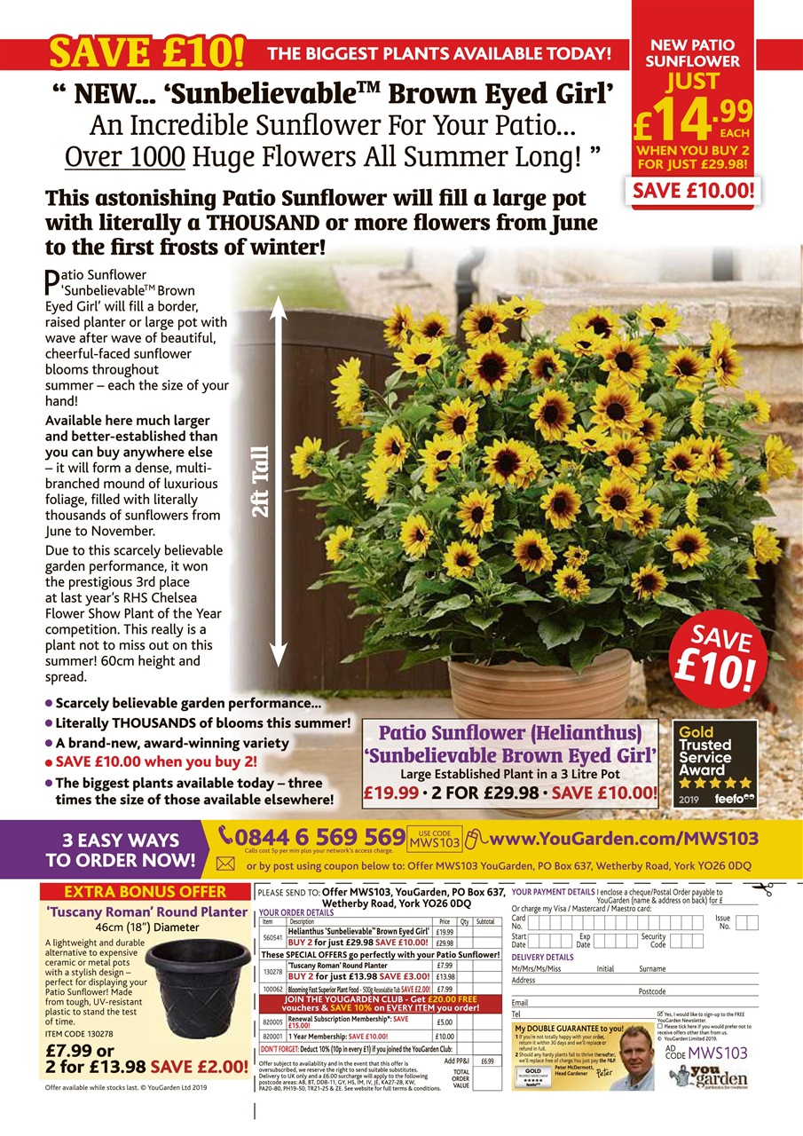 My Weekly Special Preview Pages