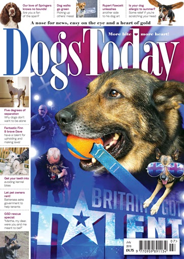 Dogs Today Magazine issue 