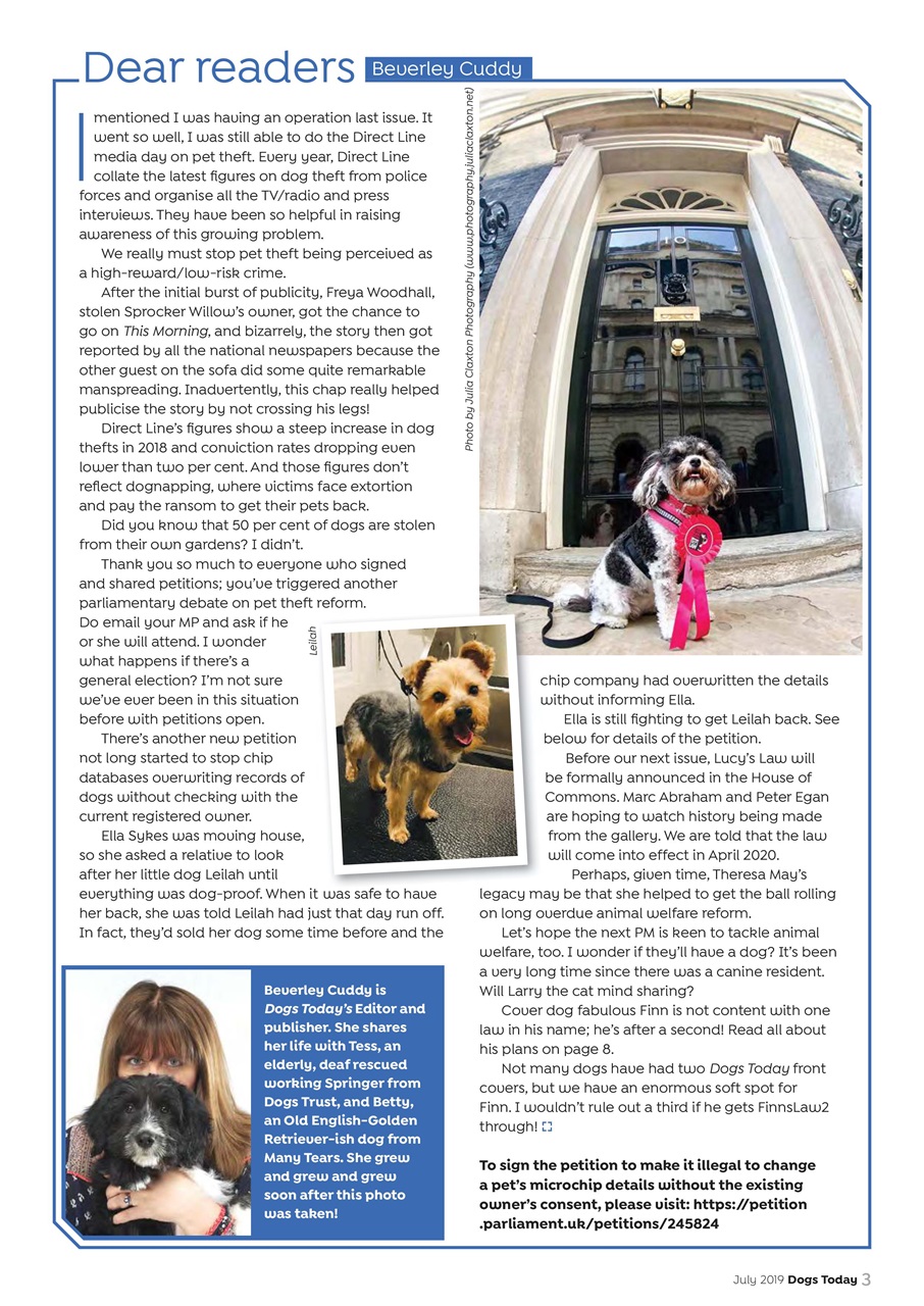 Dogs Today Magazine Preview Pages