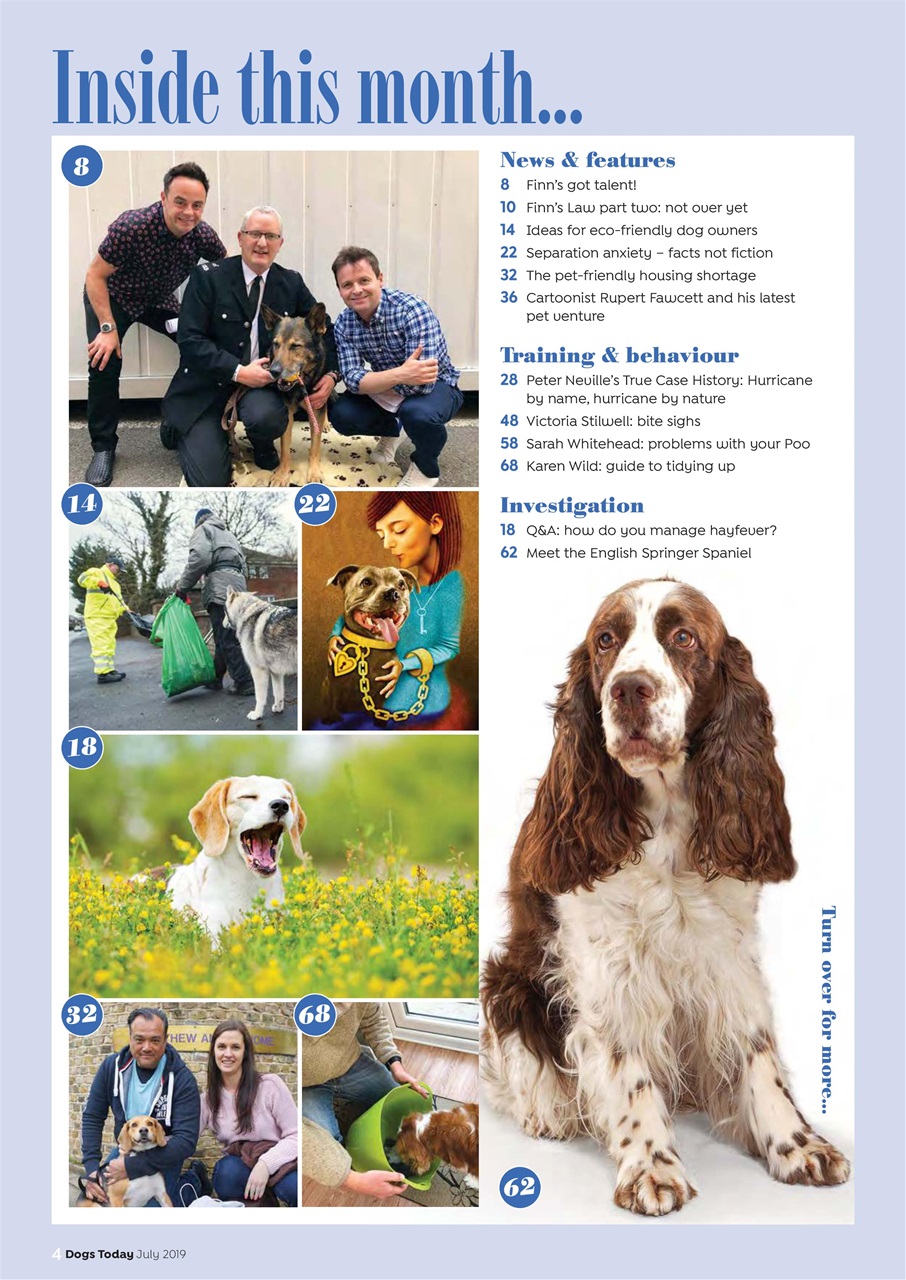 Dogs Today Magazine Preview Pages