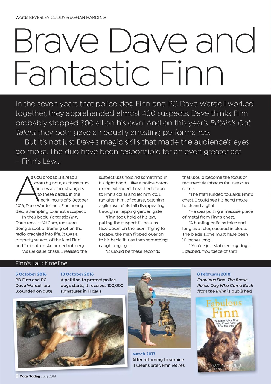 Dogs Today Magazine Preview Pages