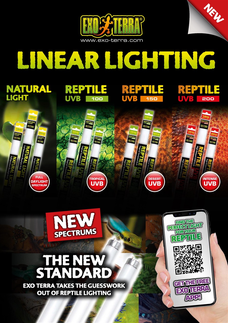 Practical Reptile Keeping Preview Pages