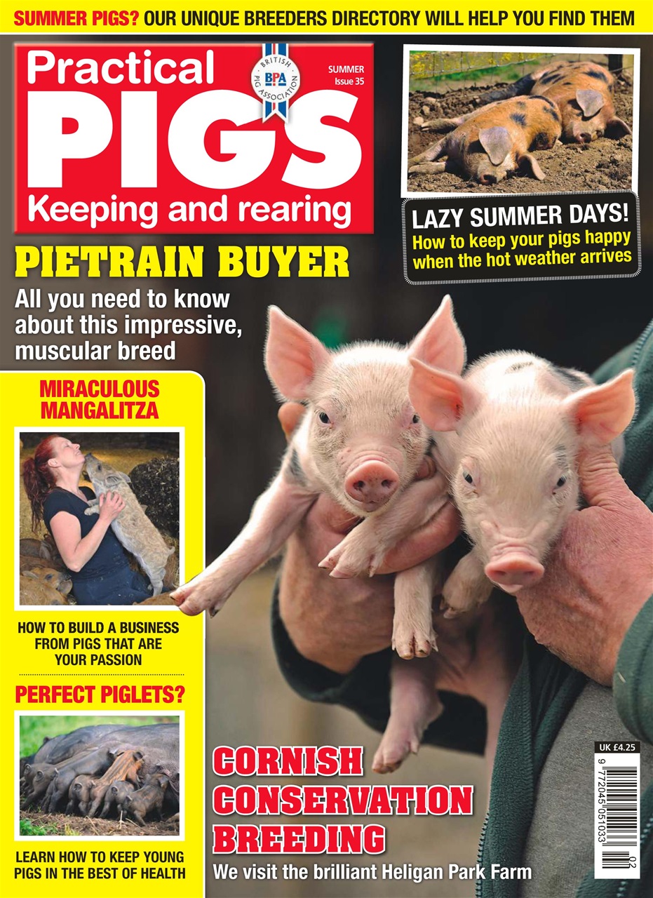 Practical Pigs Preview Pages