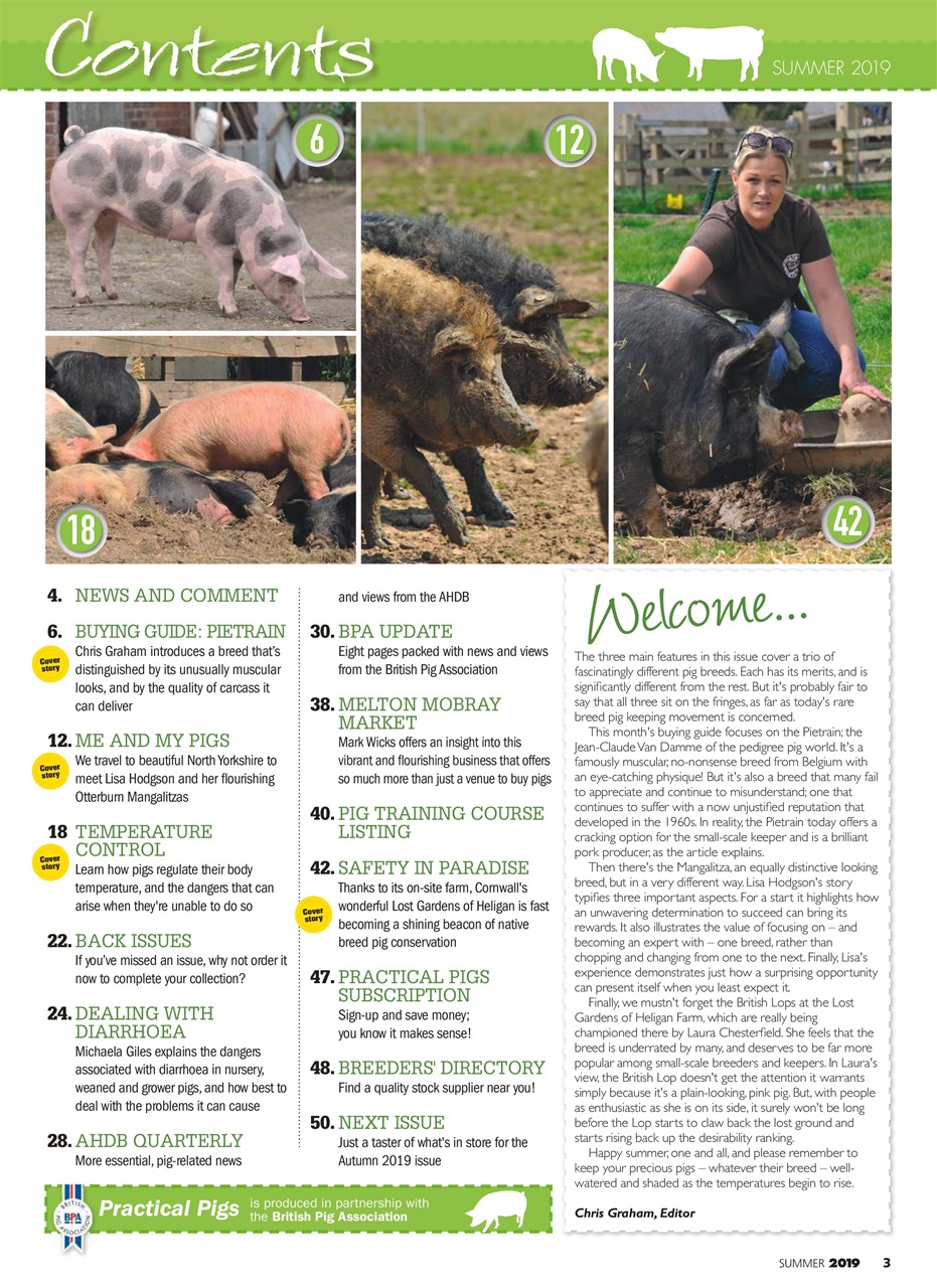 Practical Pigs Preview Pages