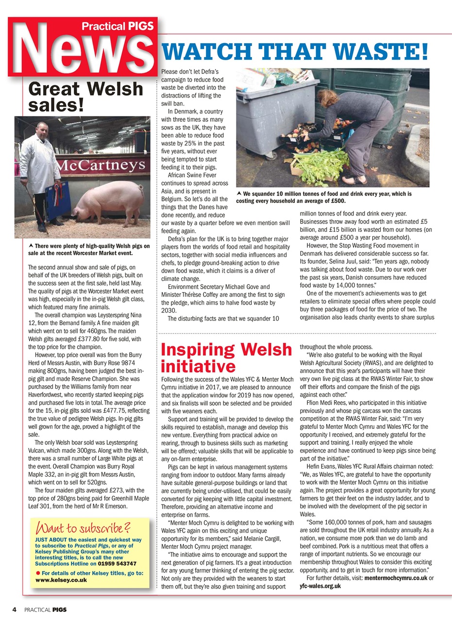 Practical Pigs Preview Pages