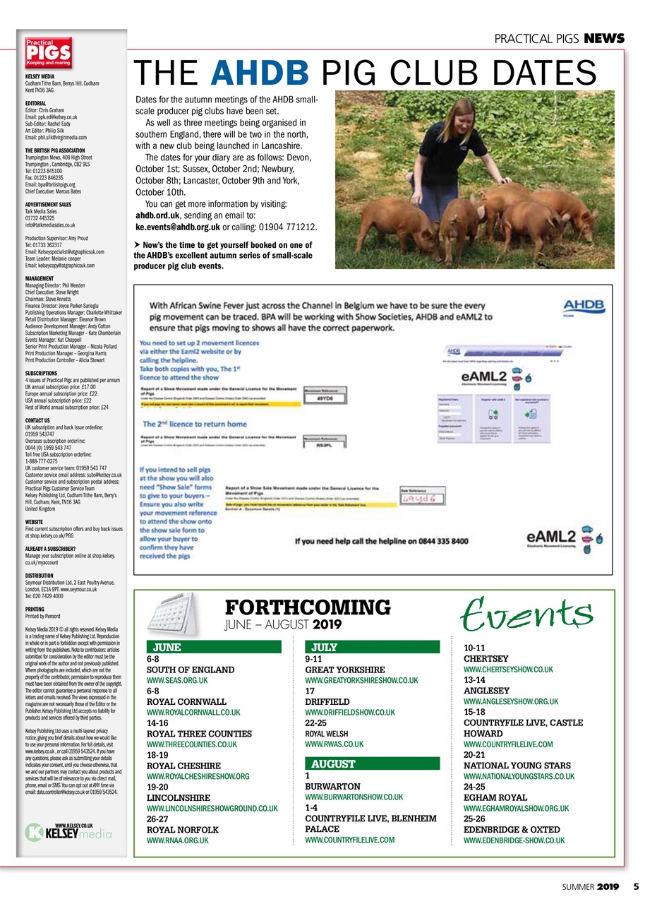 Practical Pigs Preview Pages