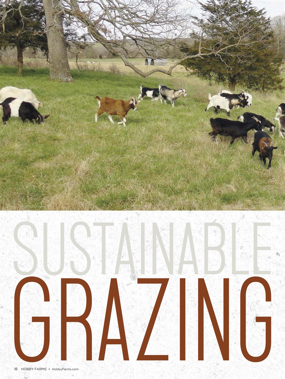 Hobby Farms Magazine Preview Pages