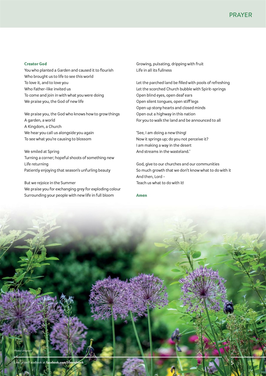 Life and Work Preview Pages