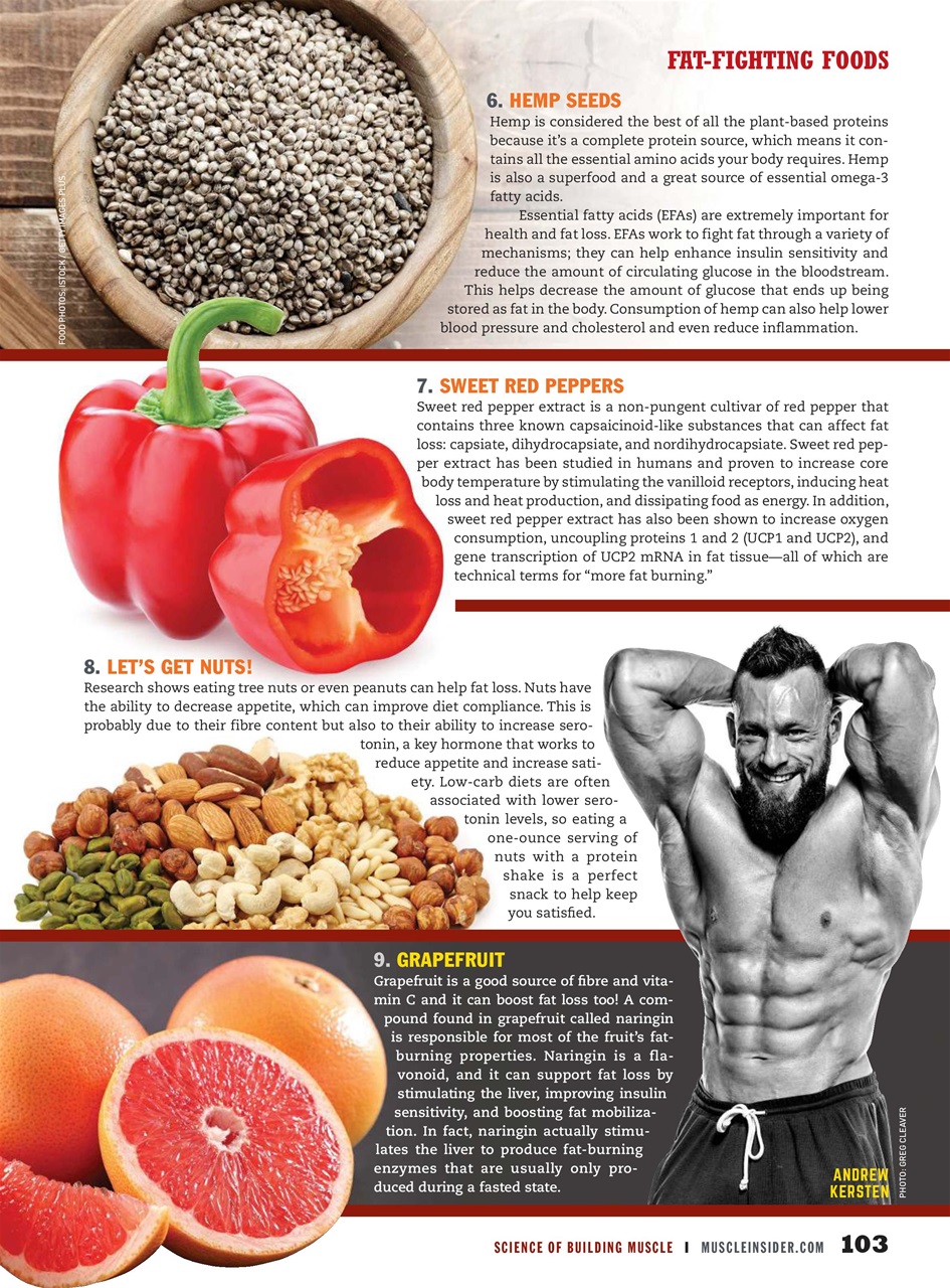 Muscle Insider Magazine Preview Pages