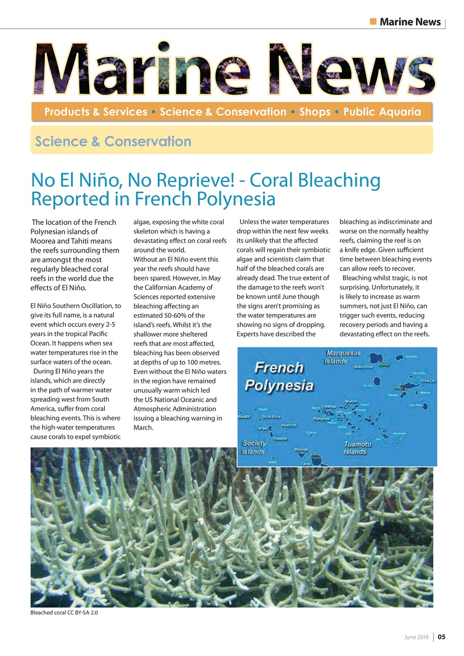 UltraMarine Magazine Preview Pages