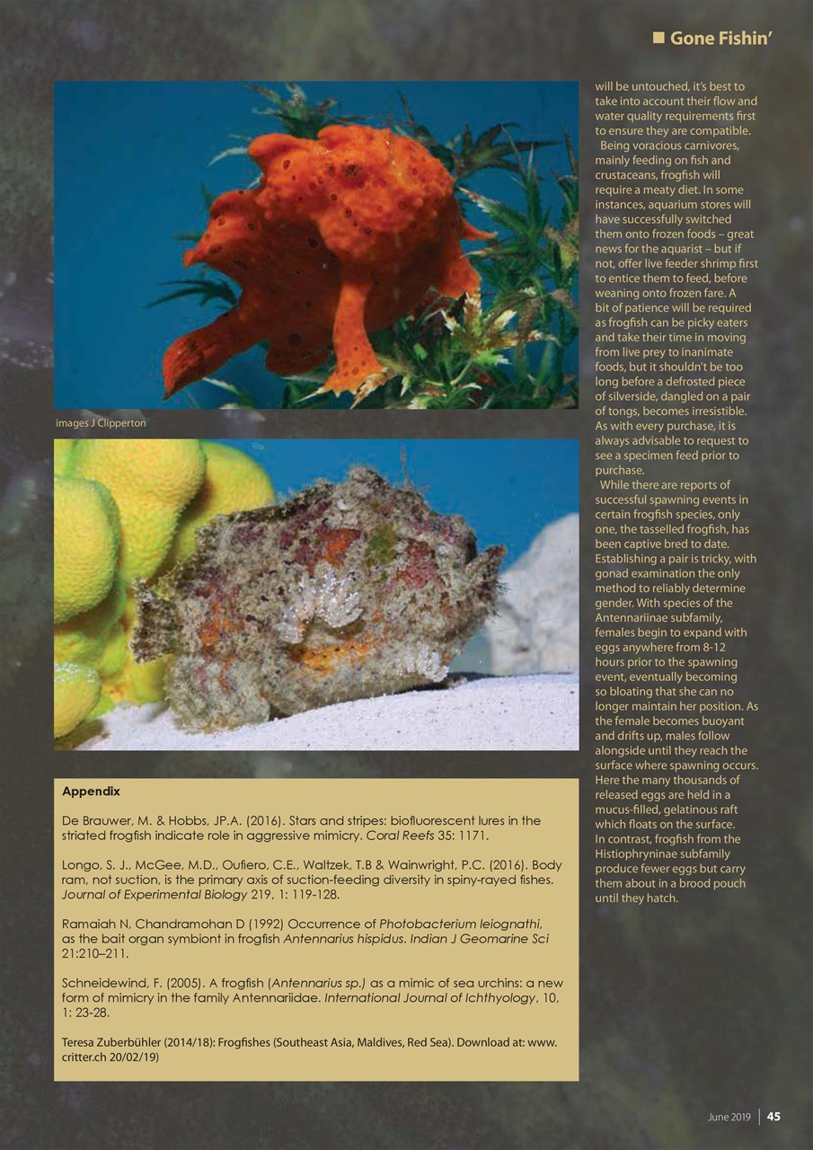 UltraMarine Magazine Preview Pages