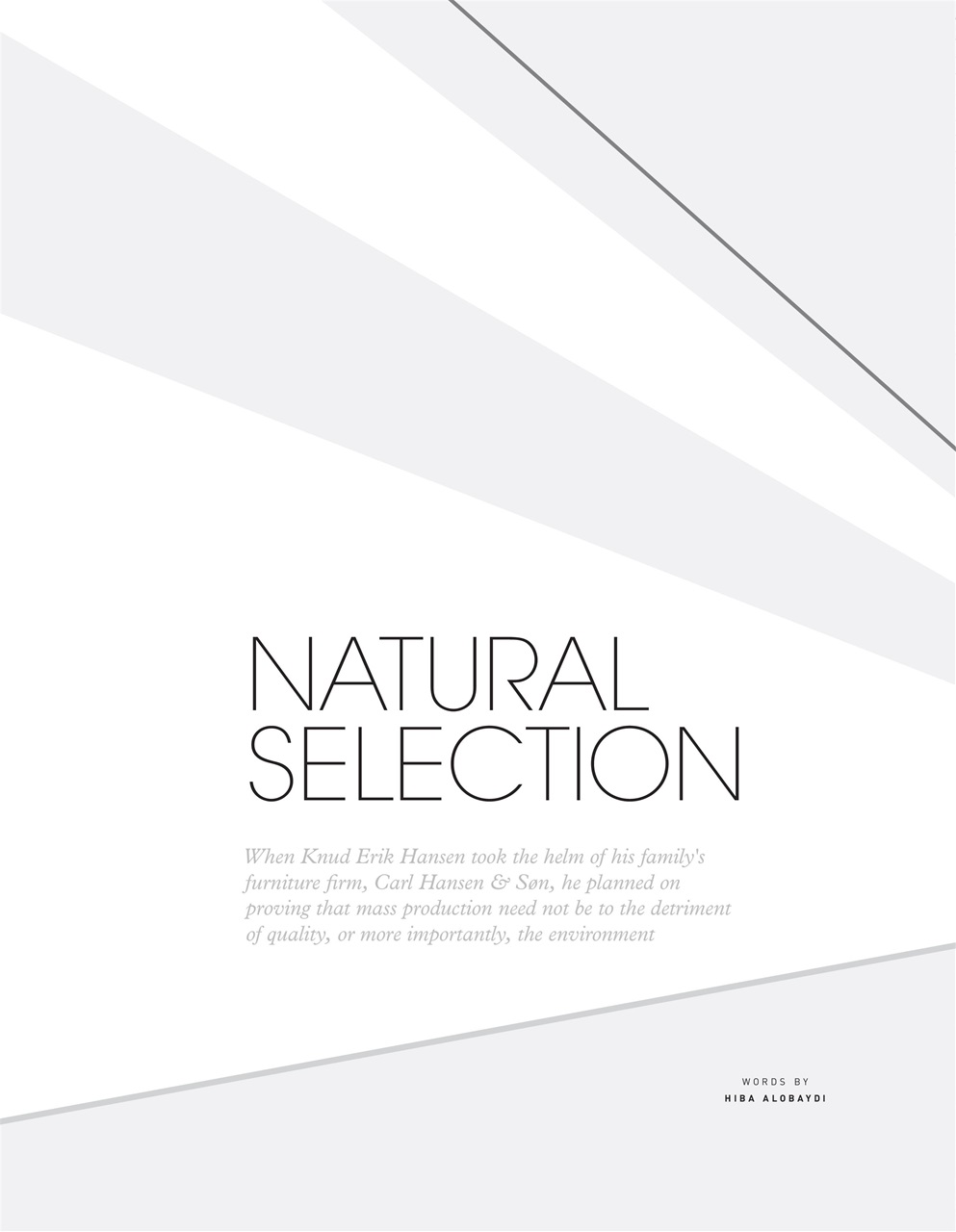 OnOffice Preview Pages