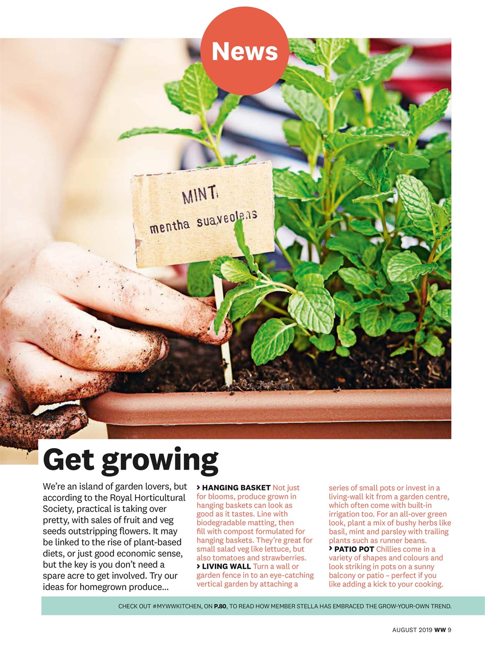 WW Magazine UK Preview Pages