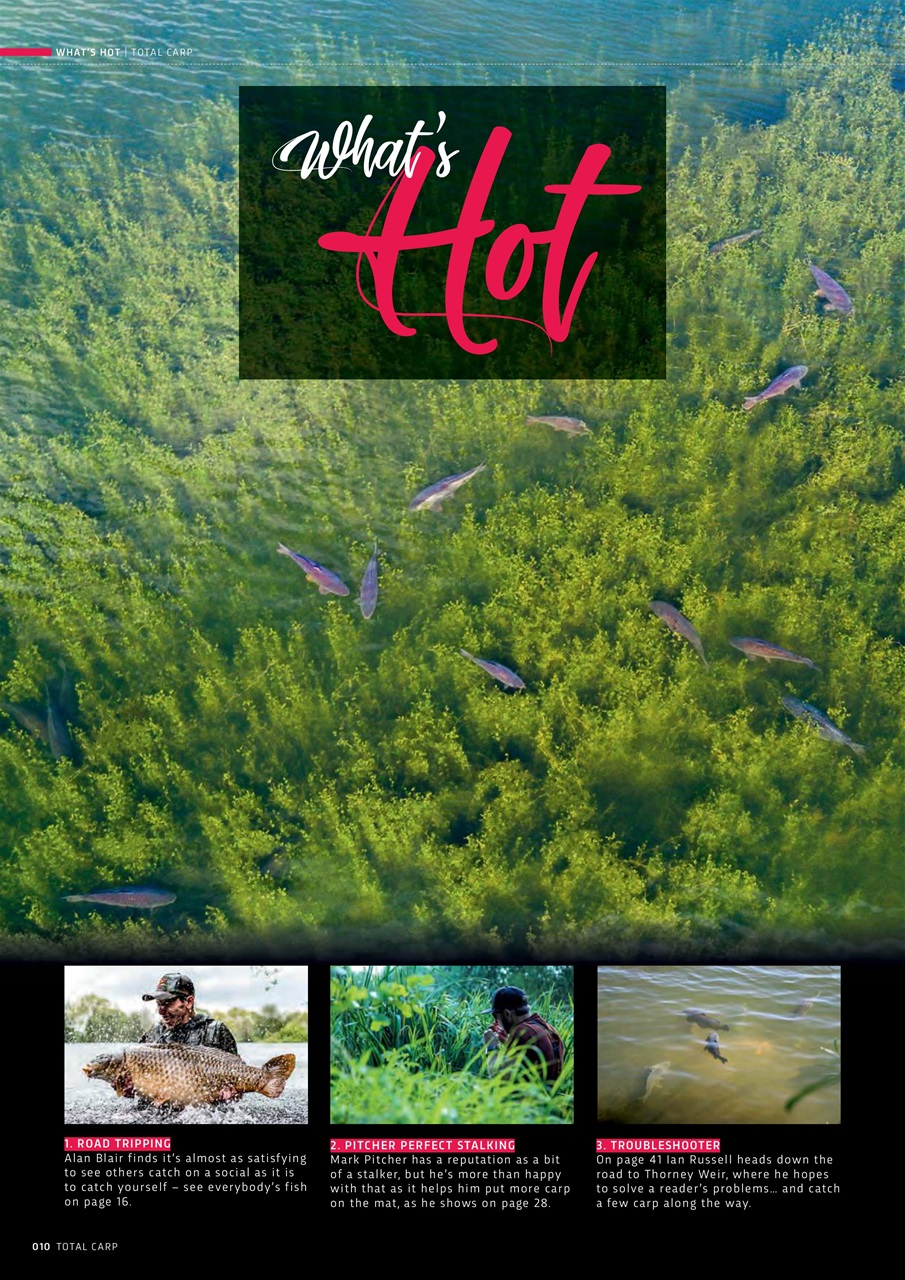 Total Carp Preview Pages