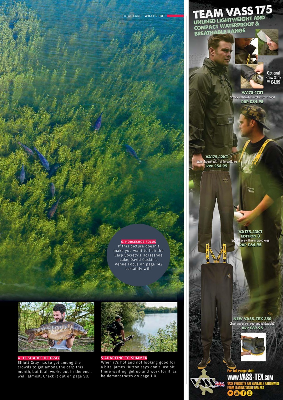 Total Carp Preview Pages