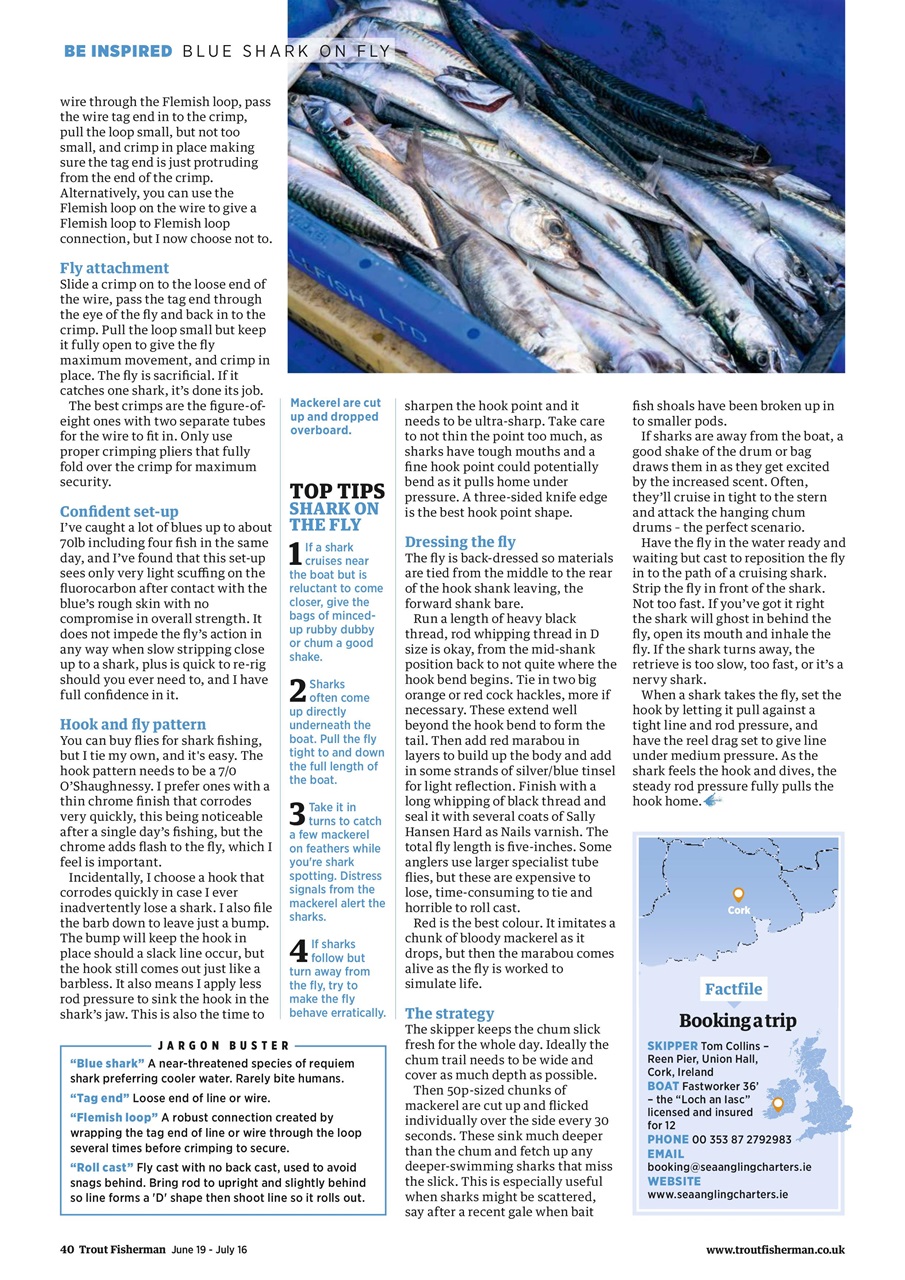 Trout Fisherman Preview Pages