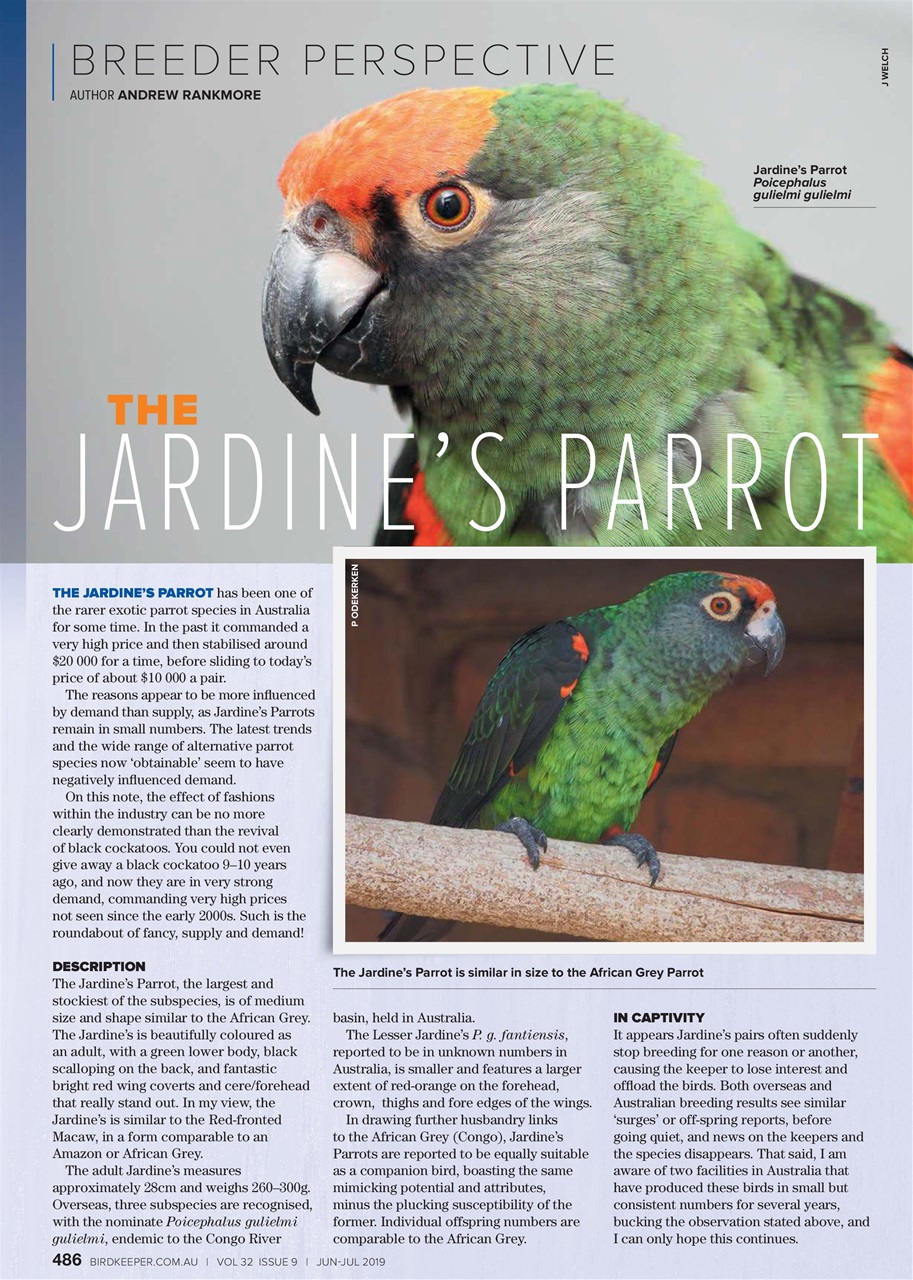 Australian Birdkeeper Magazine Preview Pages