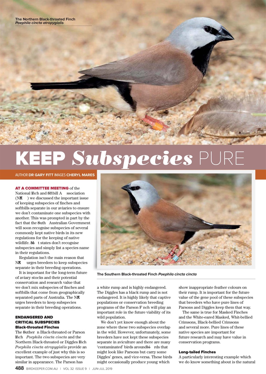 Australian Birdkeeper Magazine Preview Pages