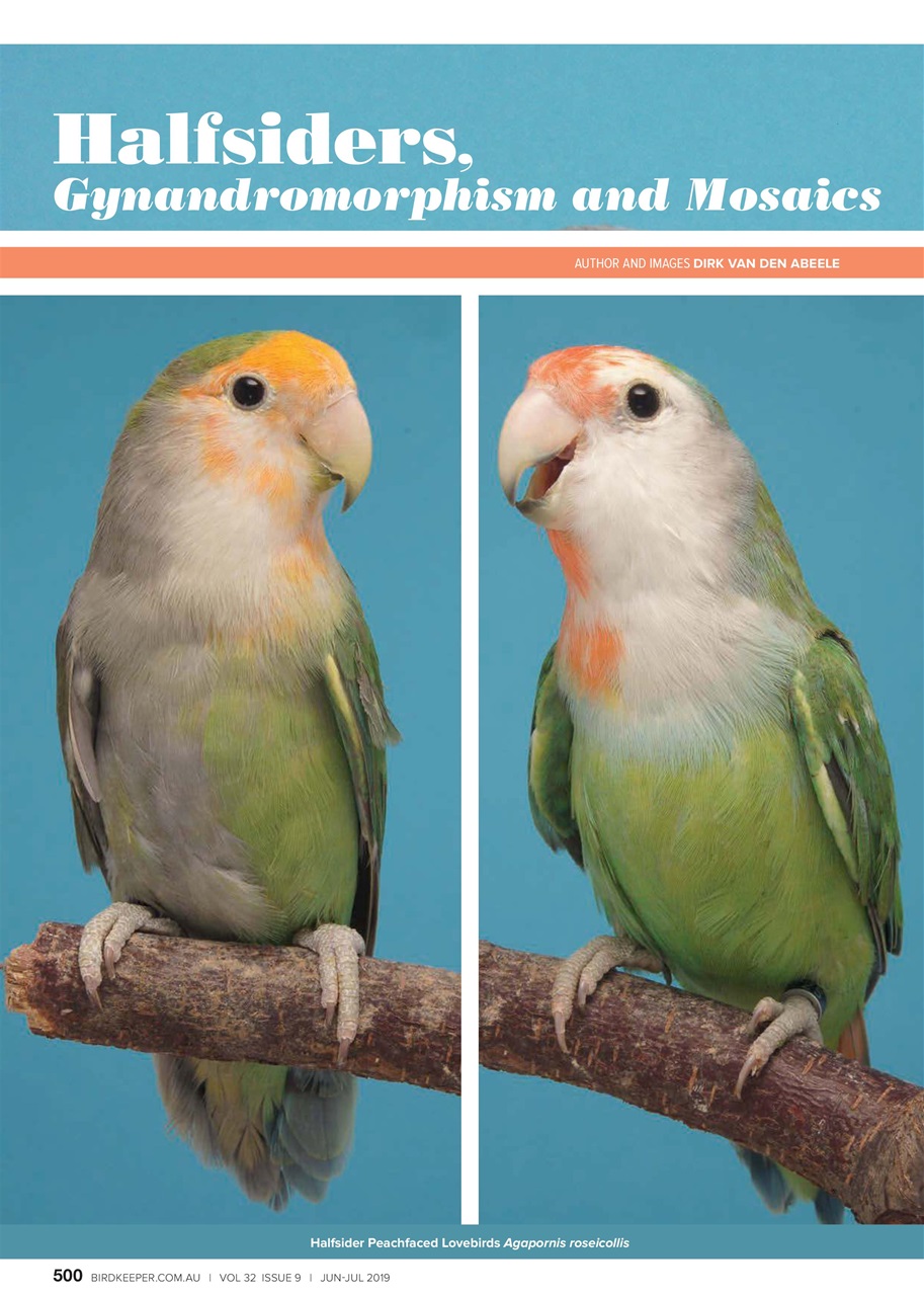 Australian Birdkeeper Magazine Preview Pages