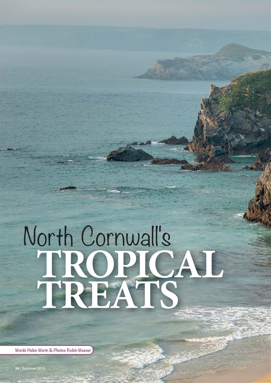 Caravan Magazine Preview Pages