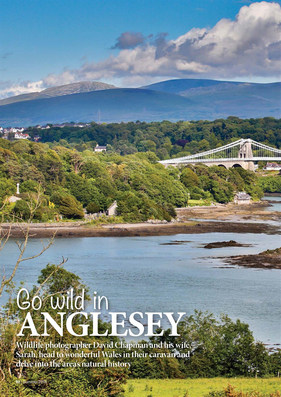 Caravan Magazine Preview Pages