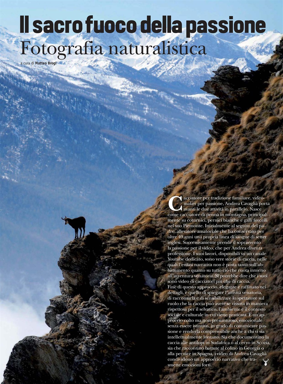 Caccia Magazine Preview Pages