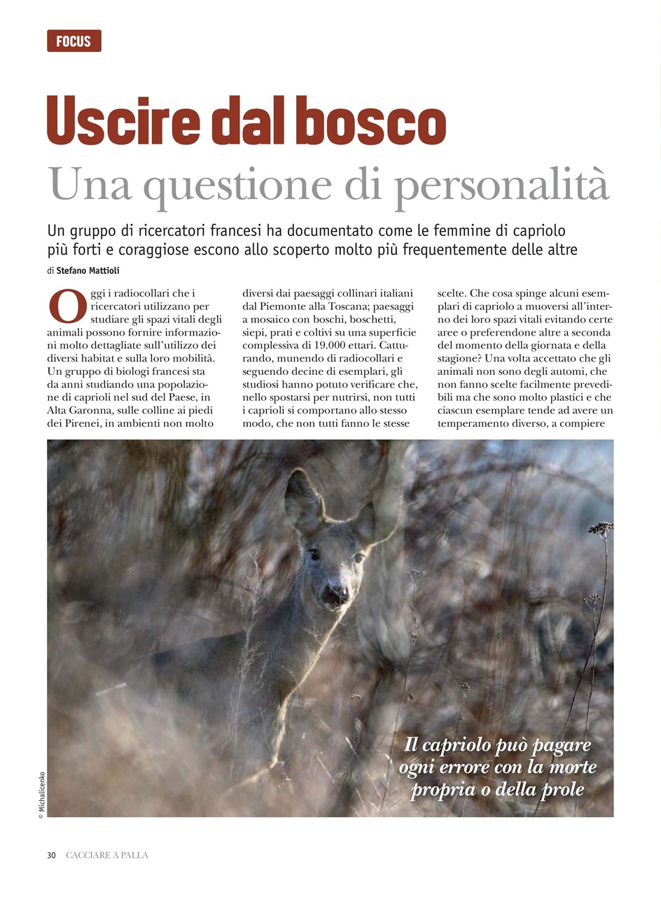 Caccia Magazine Preview Pages