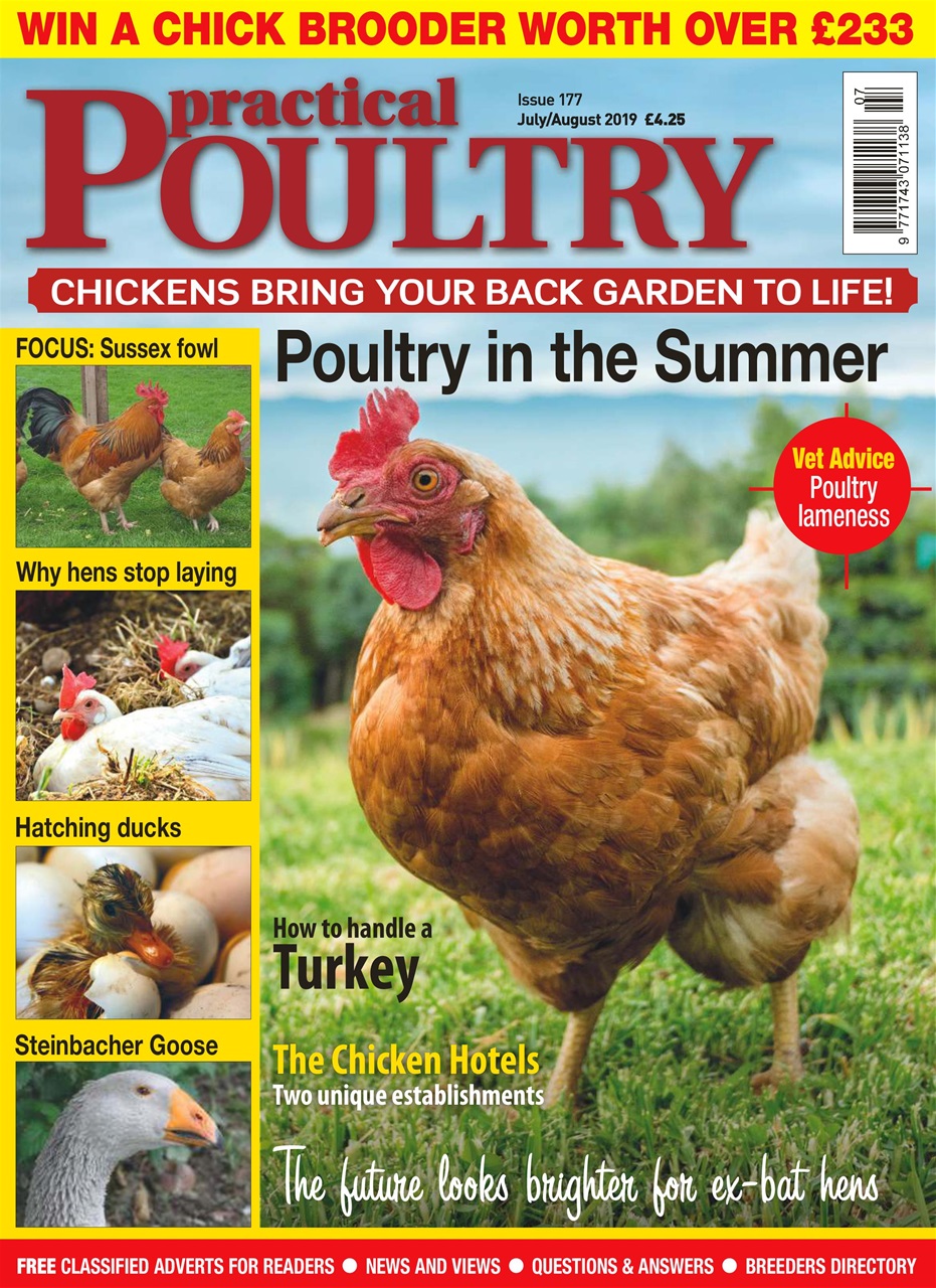 Practical Poultry Preview Pages