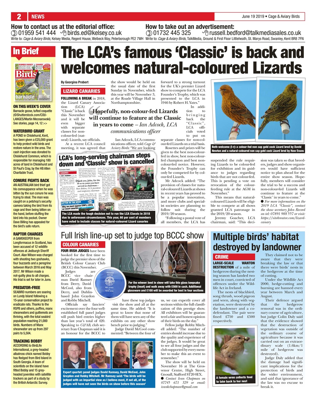 Cage & Aviary Birds Preview Pages