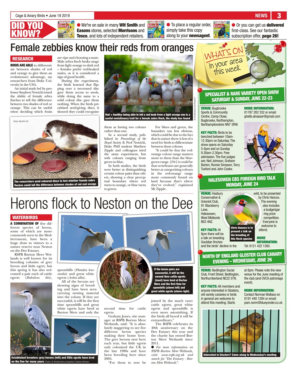 Cage & Aviary Birds Preview Pages