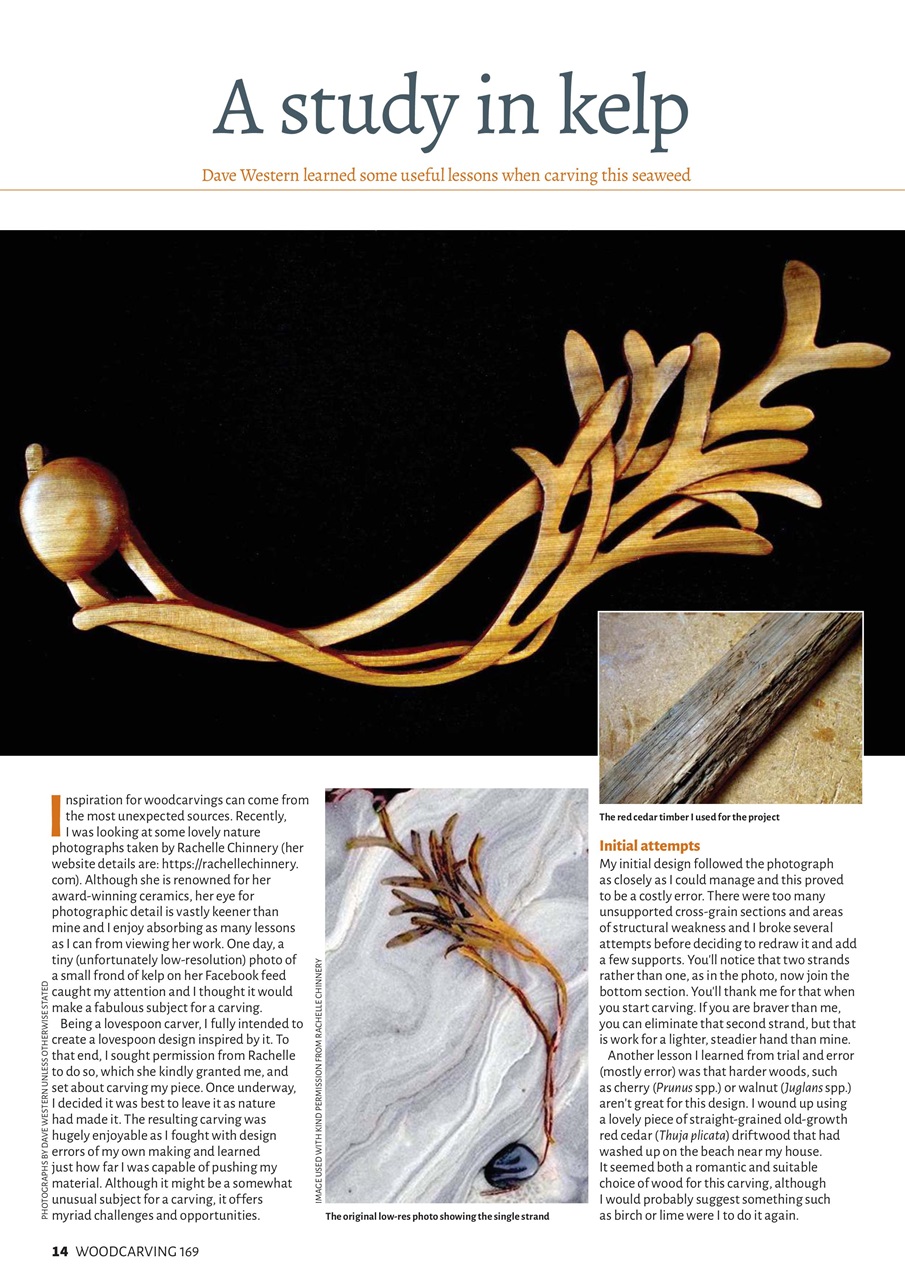 Woodcarving Preview Pages