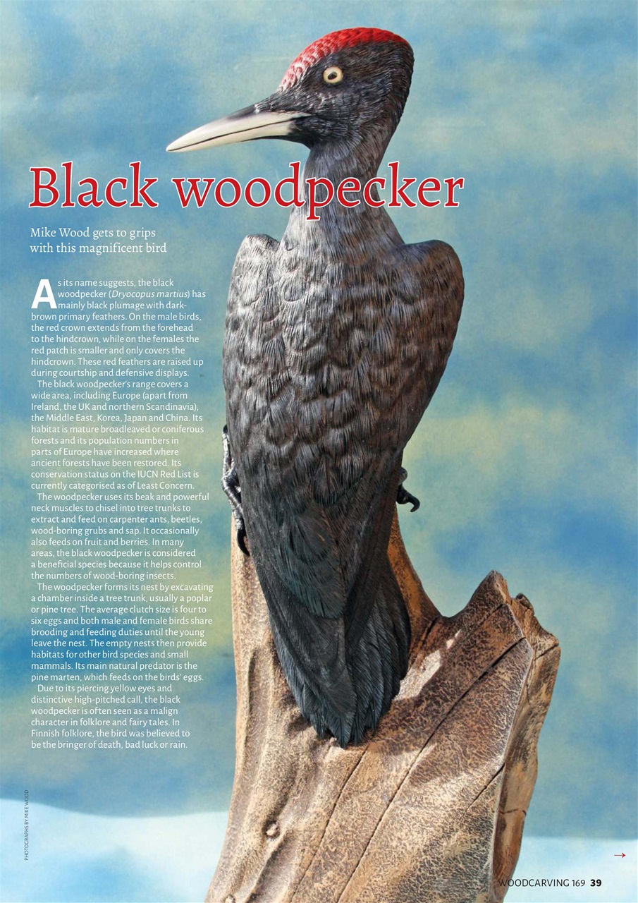 Woodcarving Preview Pages