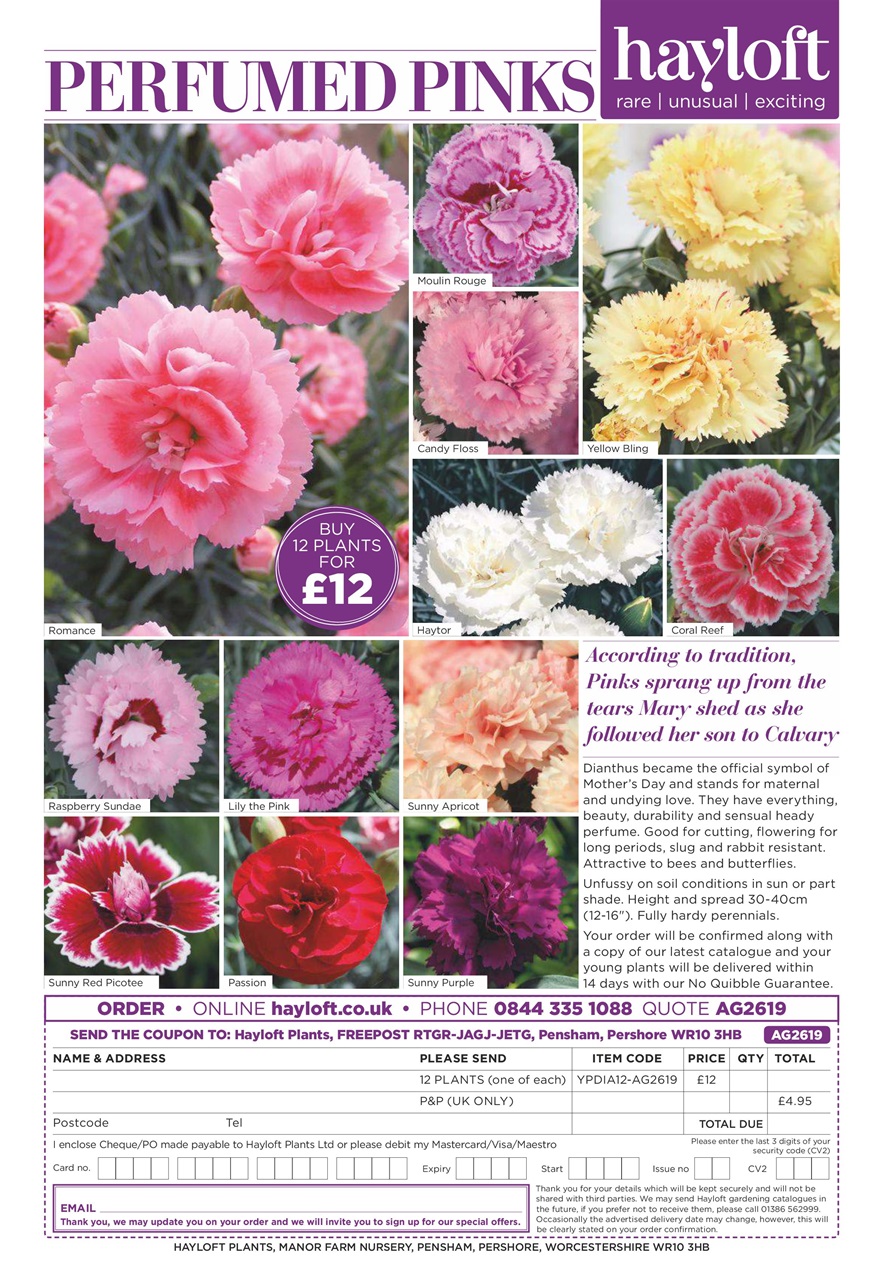 Amateur Gardening Preview Pages