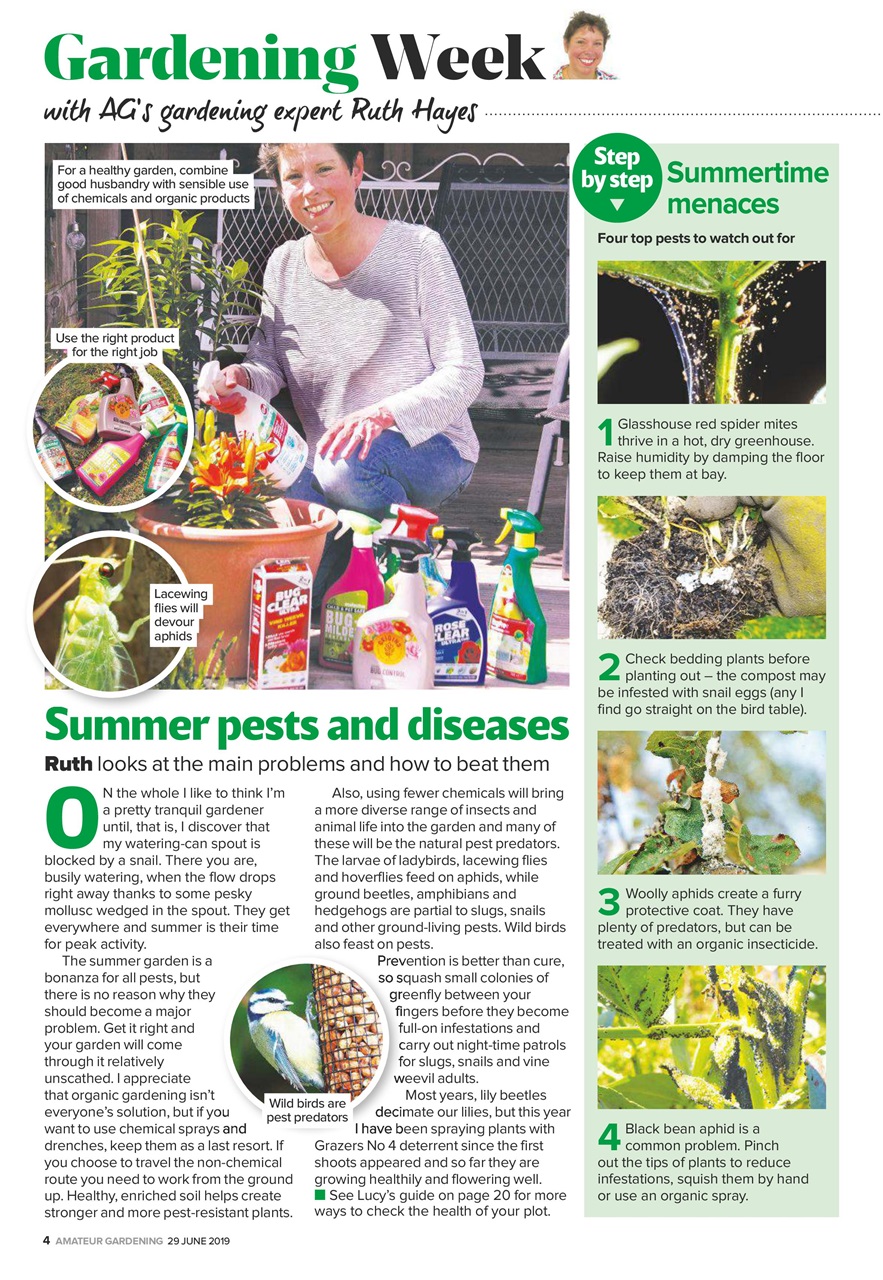 Amateur Gardening Preview Pages