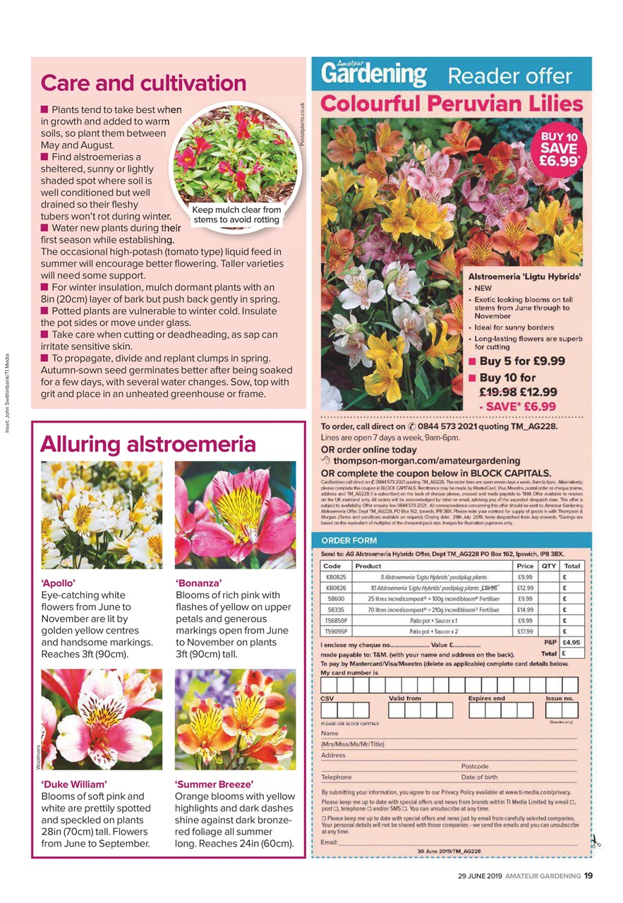 Amateur Gardening Preview Pages