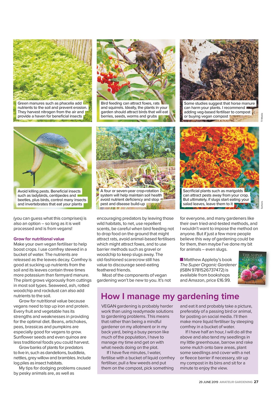 Amateur Gardening Preview Pages