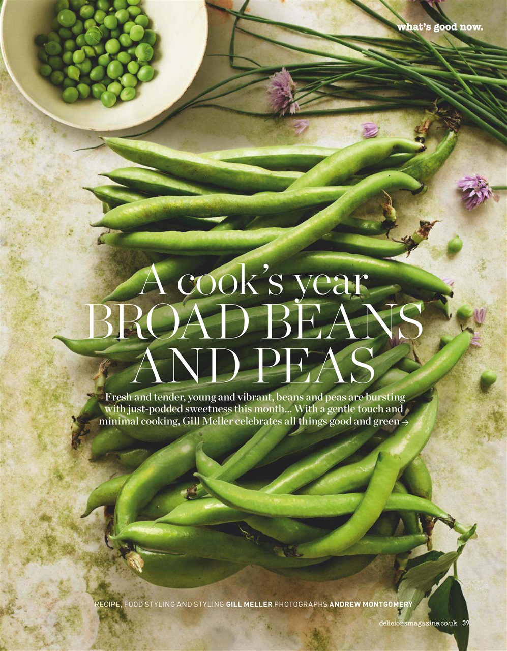 delicious. Magazine Preview Pages