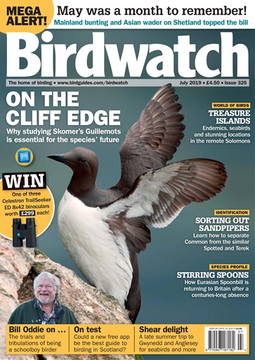 Birdwatch Magazine issue 