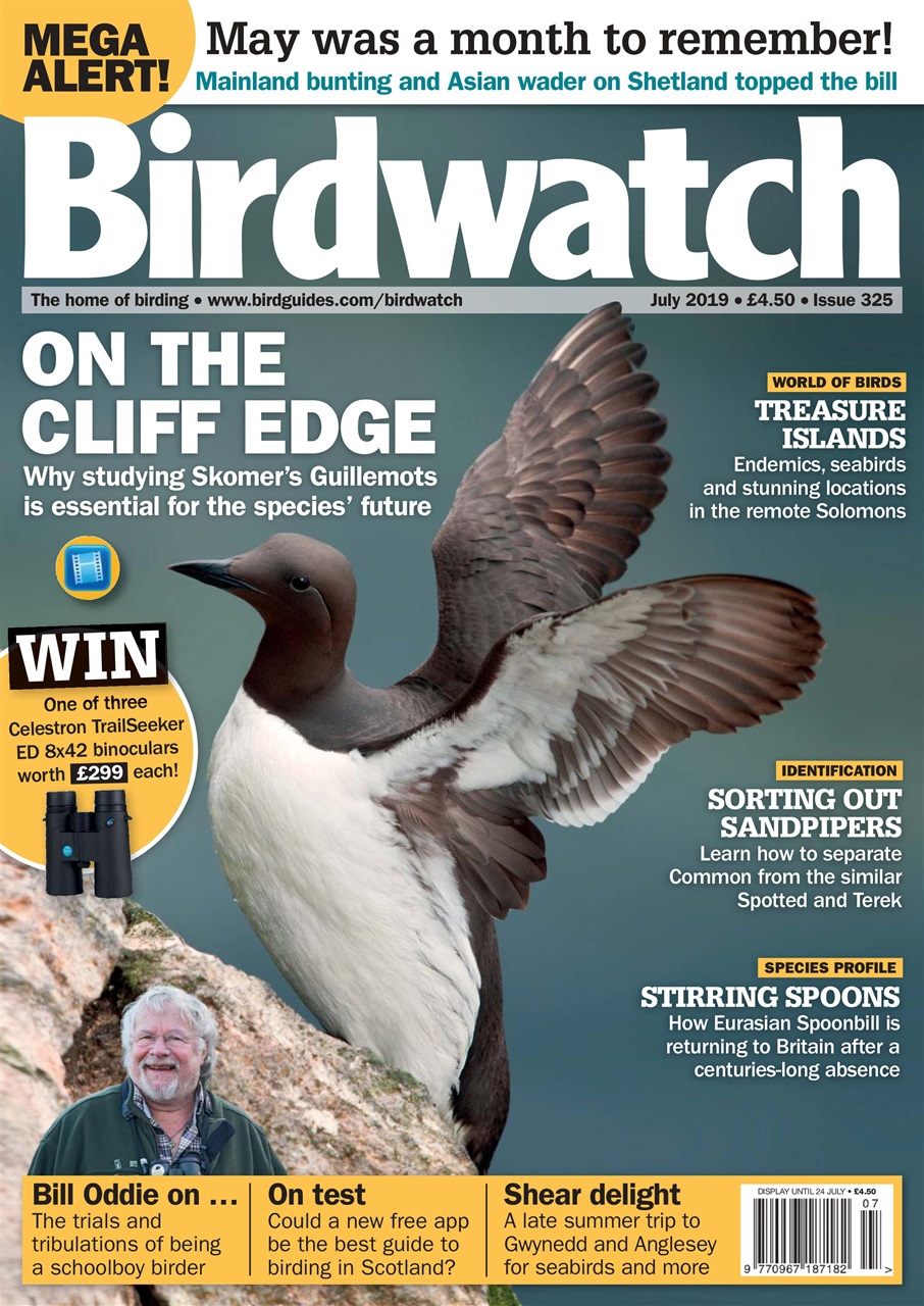 Birdwatch Magazine Preview Pages