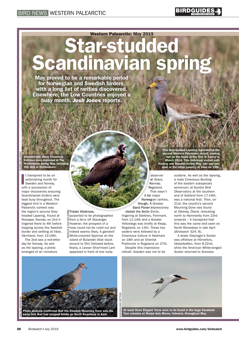 Birdwatch Magazine Preview Pages