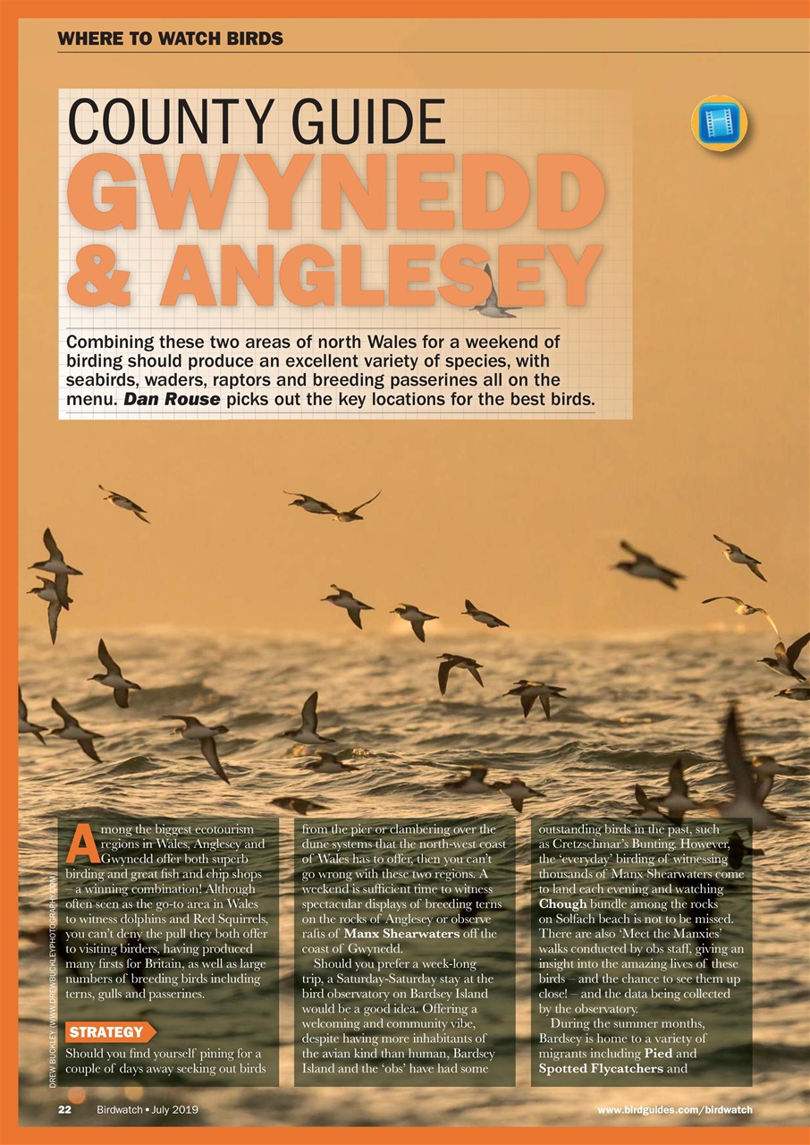 Birdwatch Magazine Preview Pages