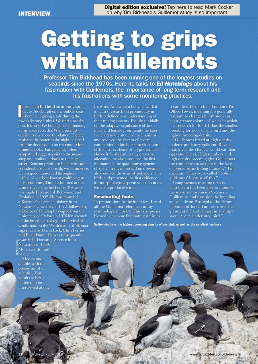 Birdwatch Magazine Preview Pages