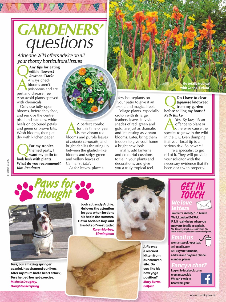 Woman's Weekly Preview Pages