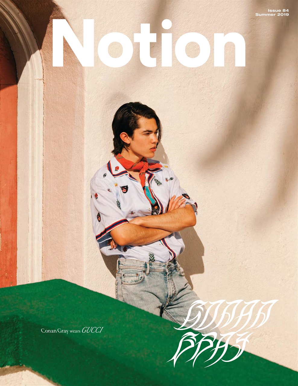 Notion Magazine Preview Pages