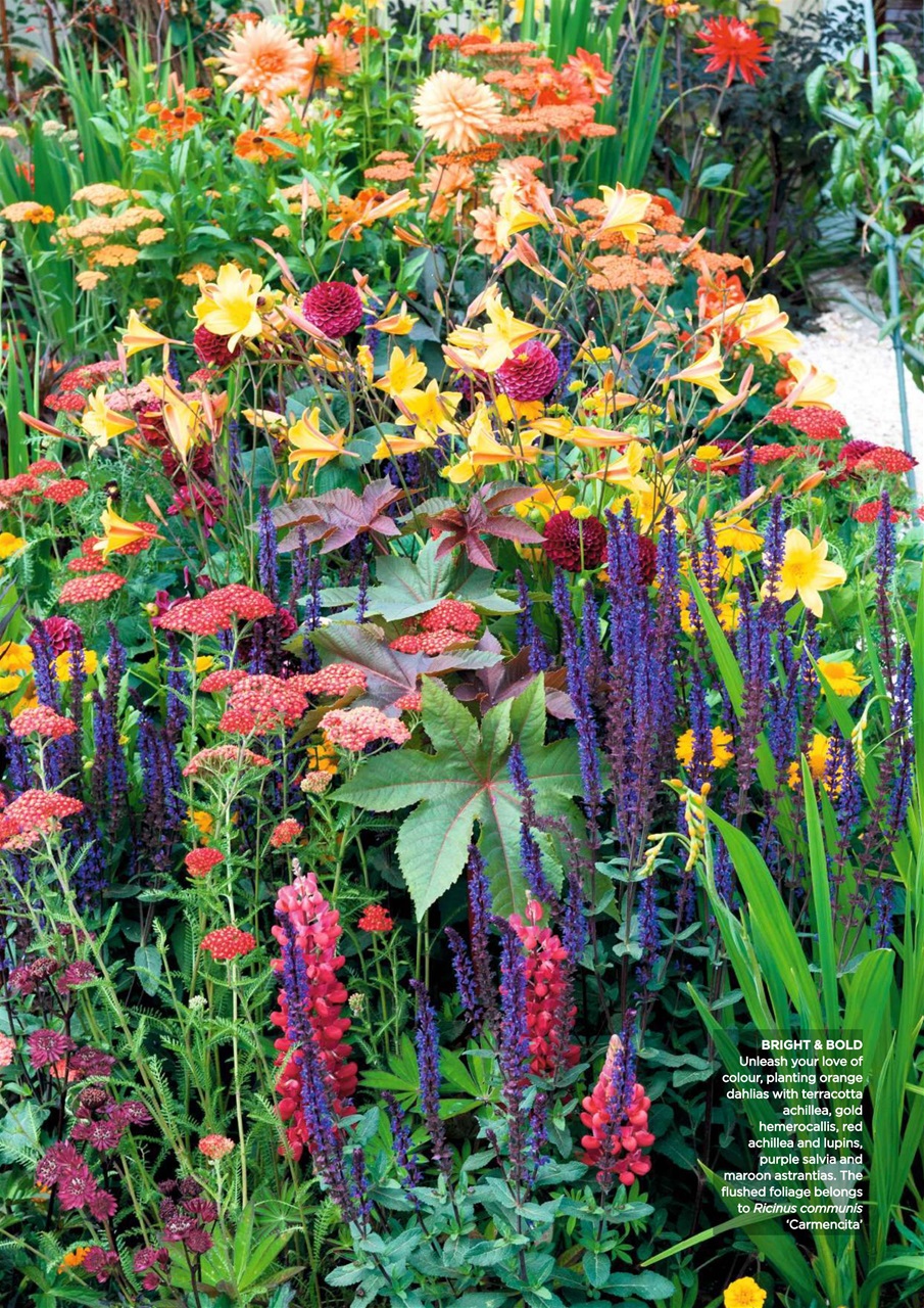 Garden Answers Preview Pages