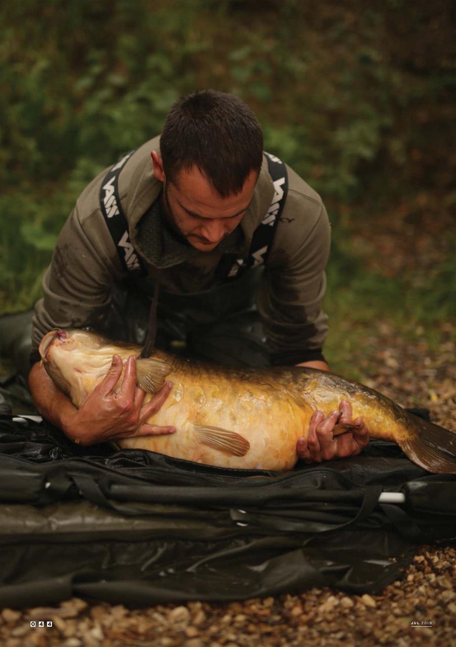 CARPology Magazine Preview Pages